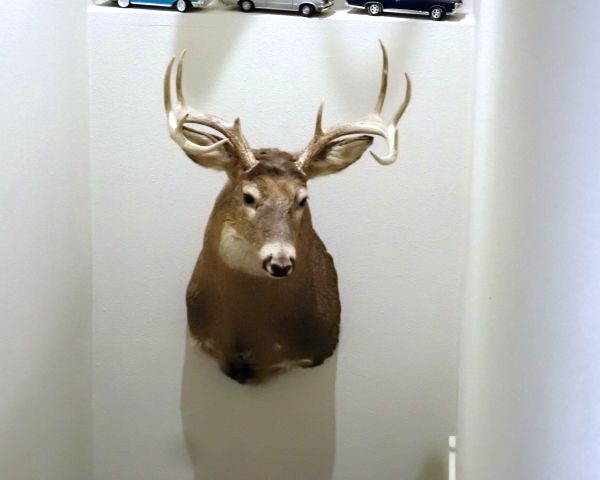 Auction listing photo