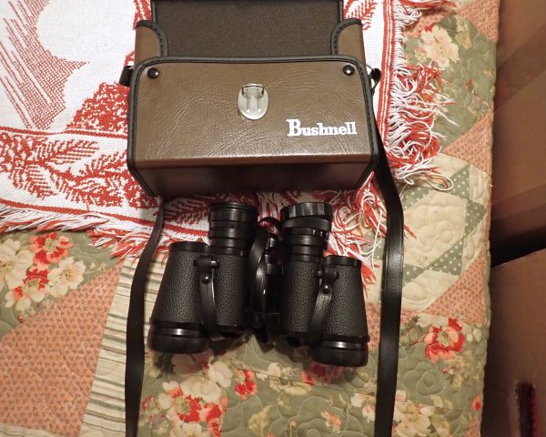 Auction listing photo