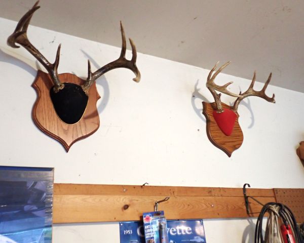 Auction listing photo
