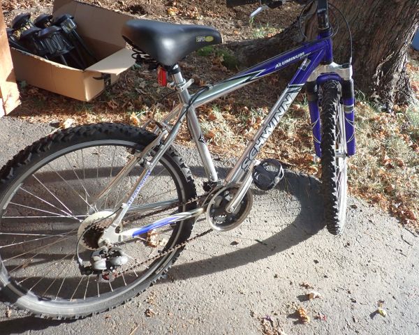 Auction listing photo