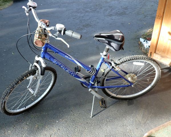 Auction listing photo