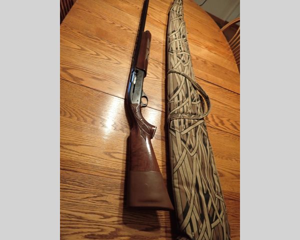 Auction listing photo