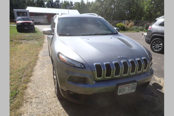 Auction listing photo