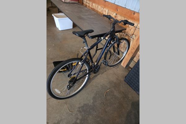Auction listing photo