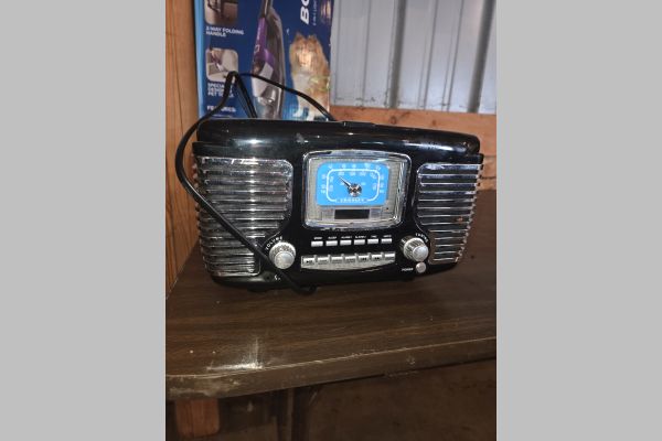 Auction listing photo