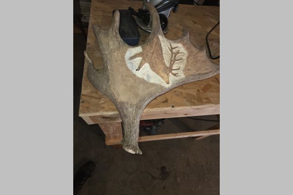 Auction listing photo