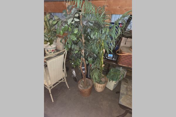 Auction listing photo