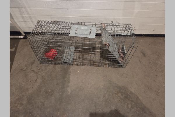 Auction listing photo