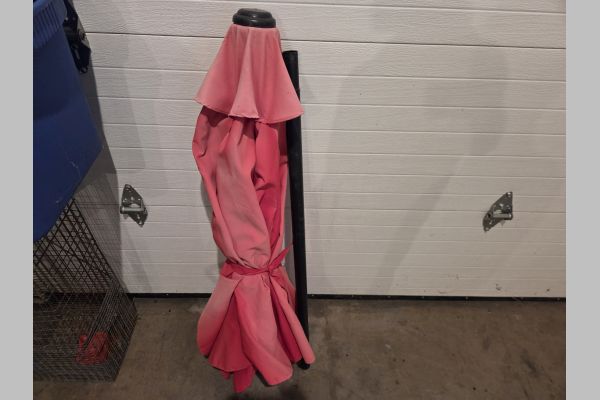 Auction listing photo
