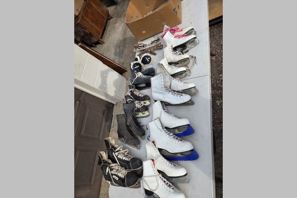 Auction listing photo