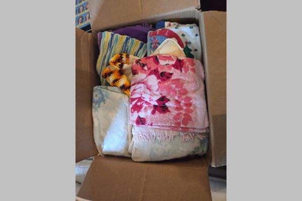 Auction listing photo