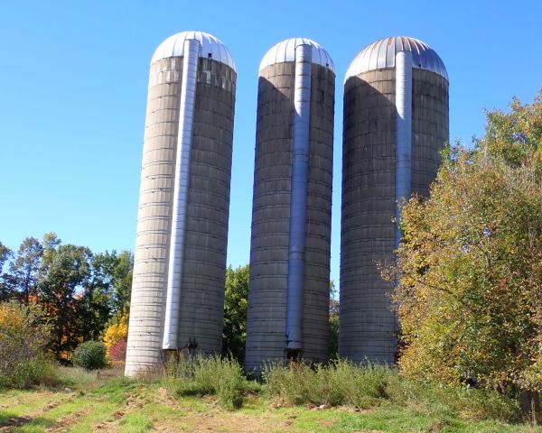 Auction listing photo
