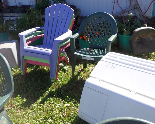 Auction listing photo