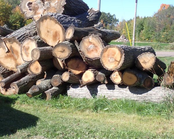 Auction listing photo