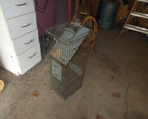 auction image