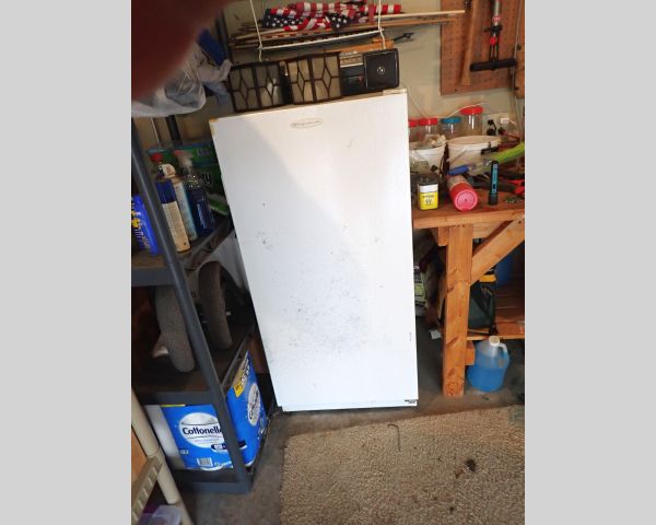 Auction listing photo