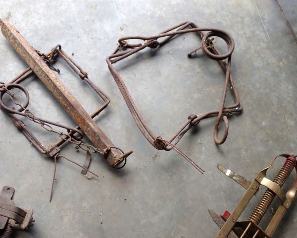 Auction listing photo
