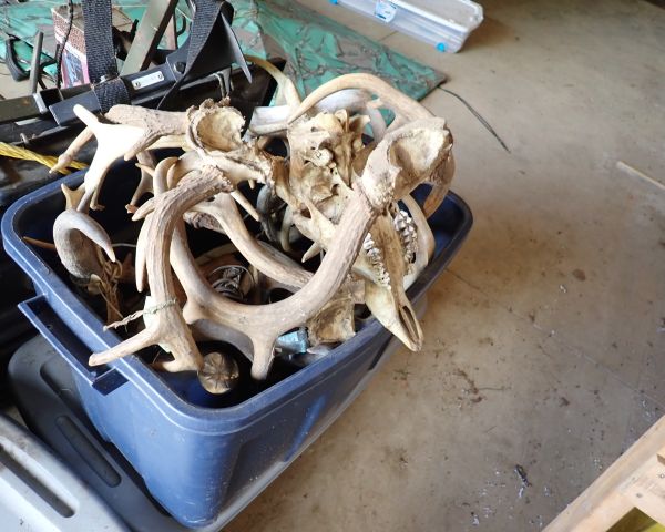 Auction listing photo