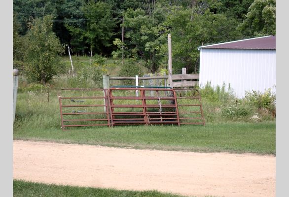 Auction listing photo