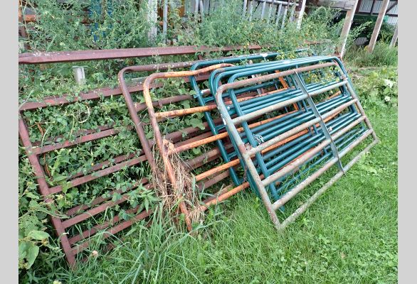 Auction listing photo