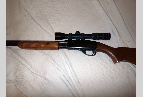 Auction listing photo