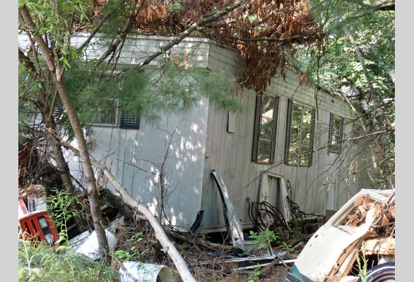 Auction listing photo