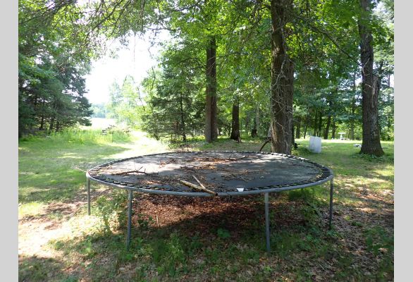 Auction listing photo