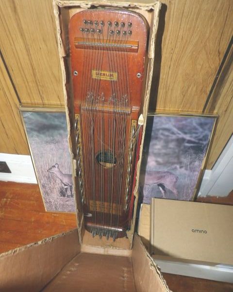 auction image