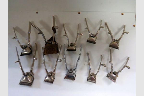 auction image