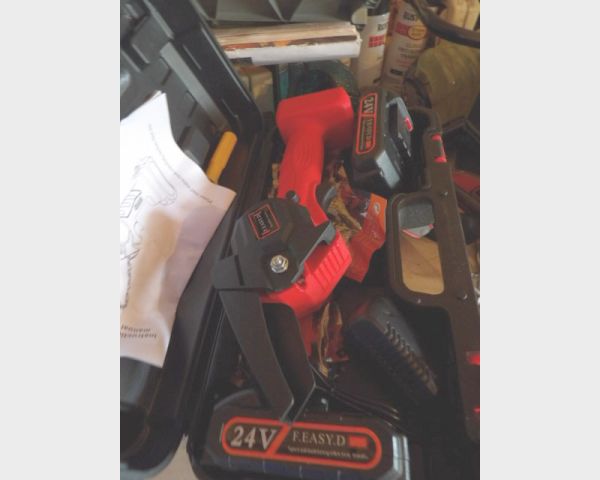 auction image
